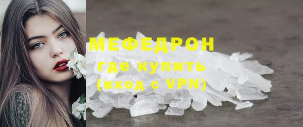 индика Костерёво