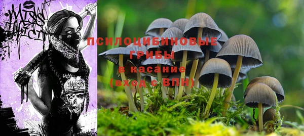 индика Костерёво